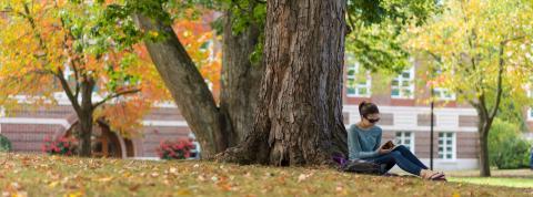 student under tree