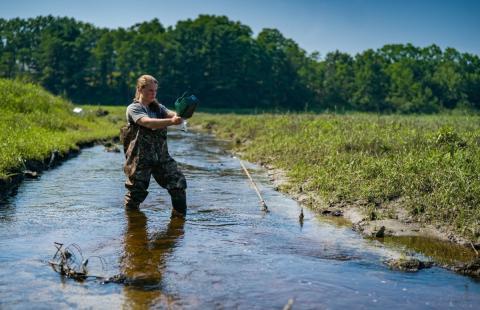 Hannah Miller in a stream